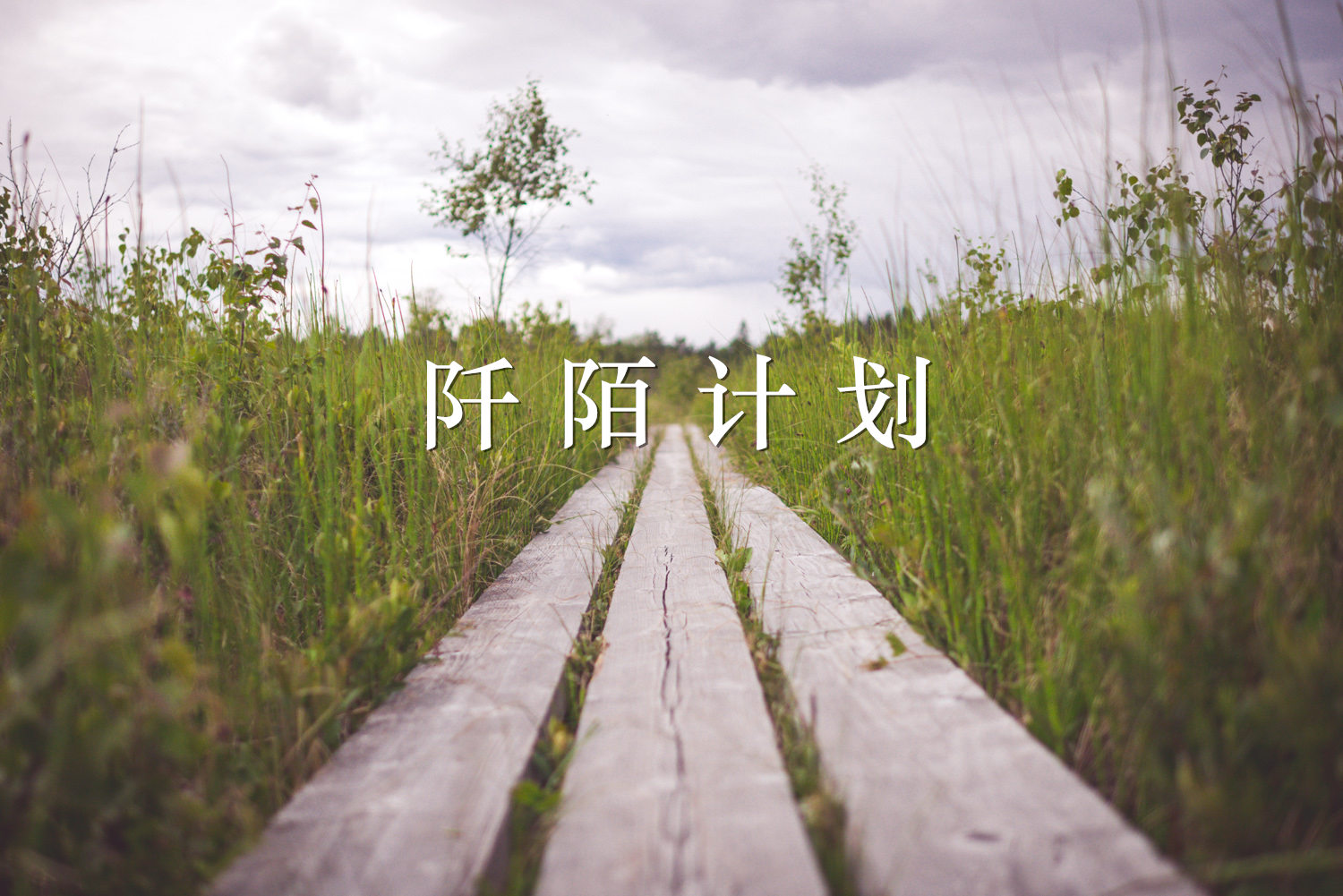【阡陌计划】流动儿童社区教育项目资助申请说明