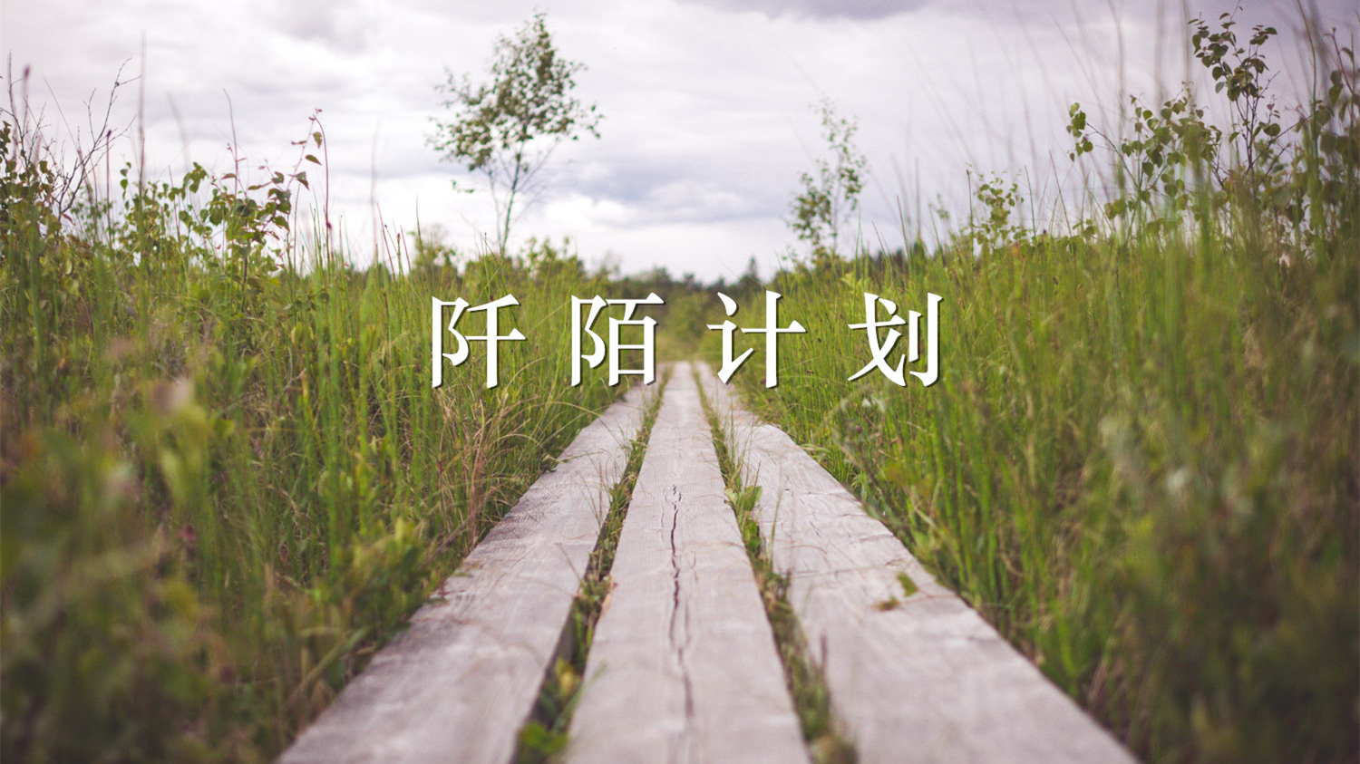【阡陌计划】复试名单公示
